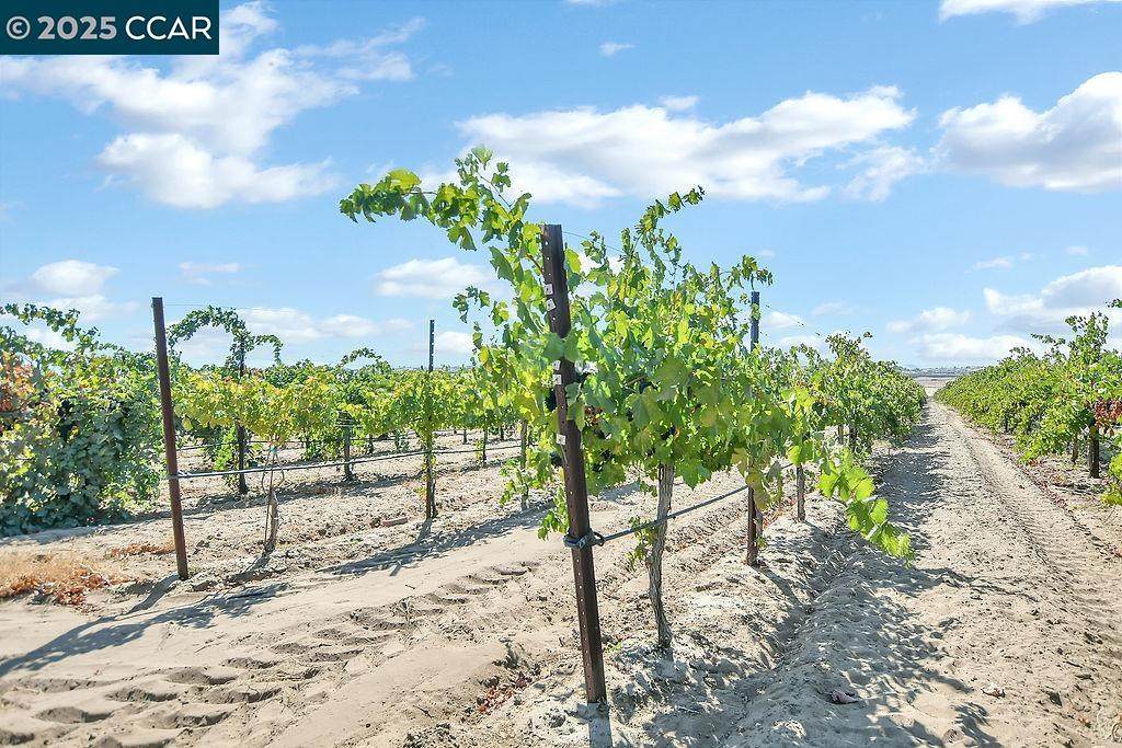 0 Empire Ave - Photo 1