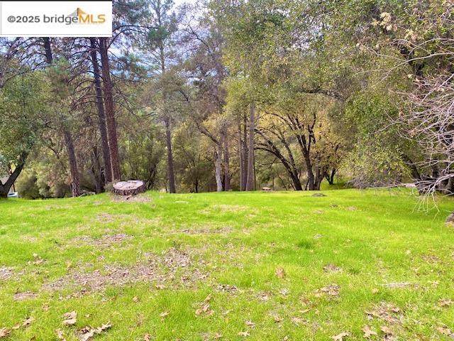 19703 Cottonwood St - Photo 1