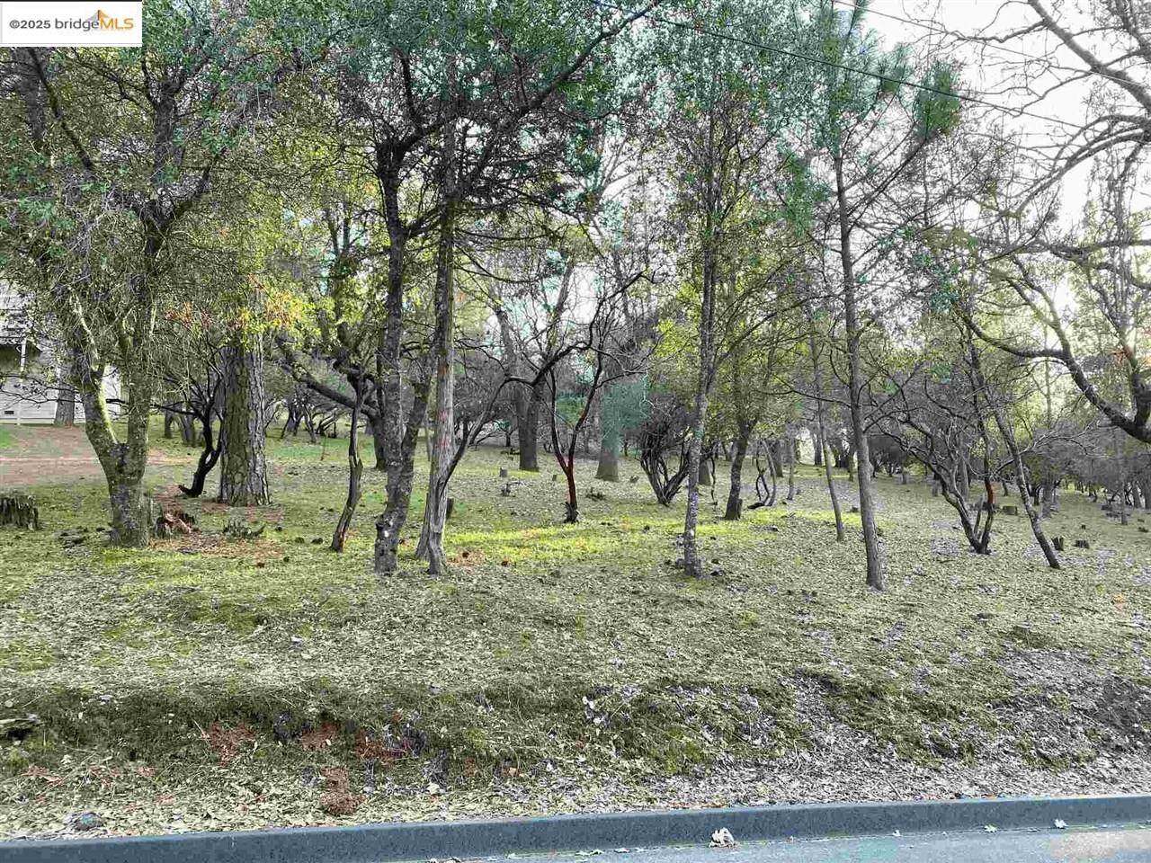 13177 Jackson Mill Drive - Photo 1