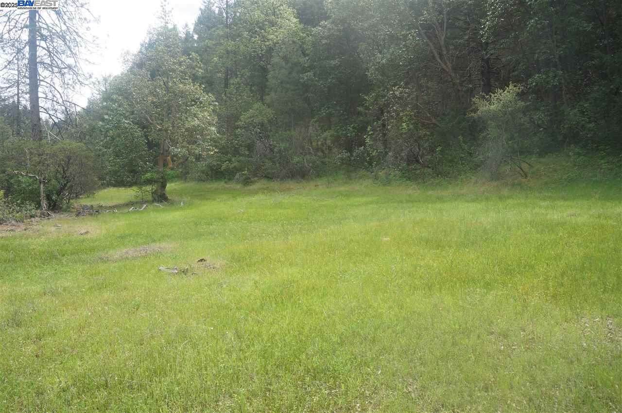 6269 Dutch Creek - Photo 1