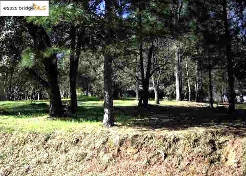 13137 Jackson Mill Dr - Photo 1