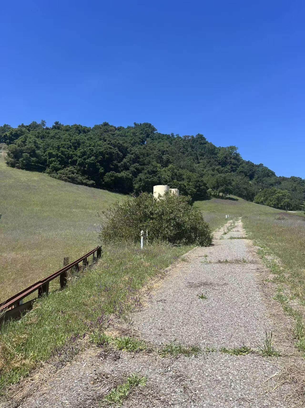 13160 Uvas Rd - Photo 1