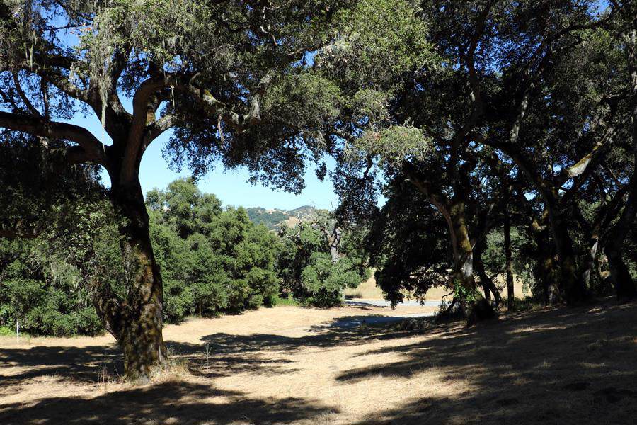 3 Rumsen Trace - Photo 1