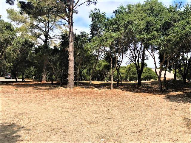 7830 Monterra Oaks Road (Lot 104) - Photo 1