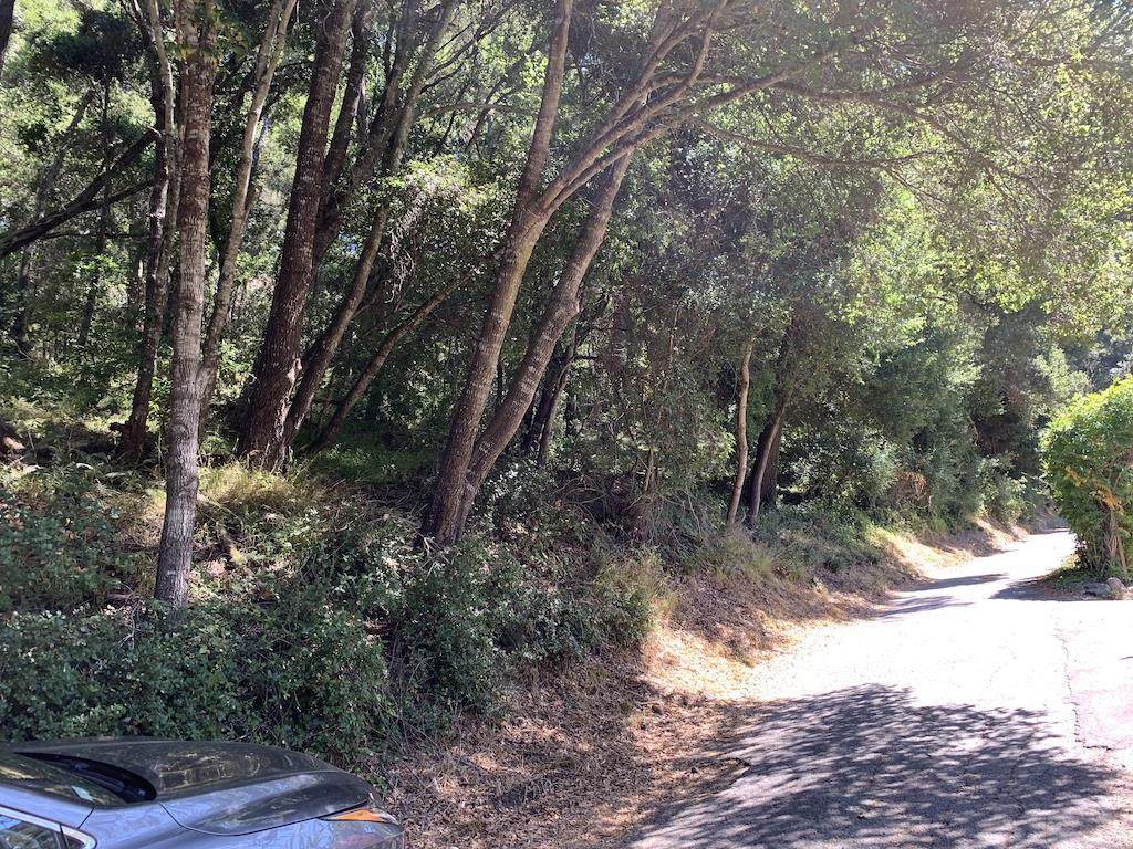 0 Burns Avenue - Photo 1
