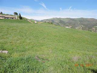 44750 Sun Valley Drive - Photo 1