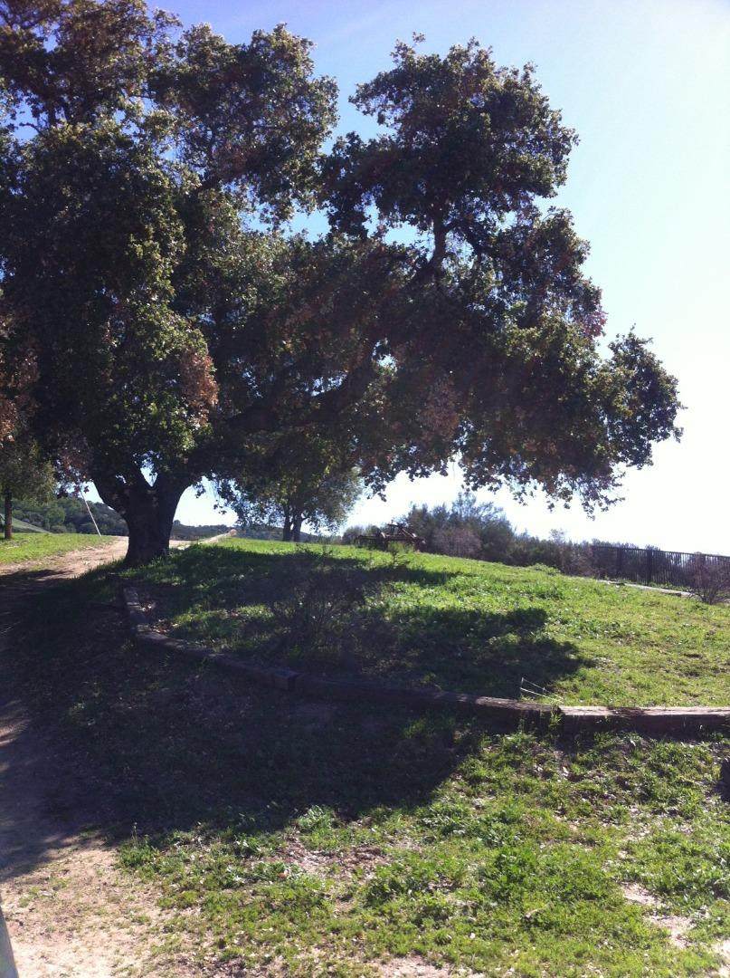 5 Asoleado Drive - Photo 1