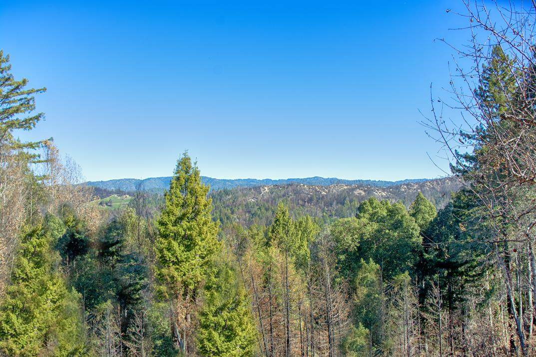 665 Heartwood Hill - Photo 1