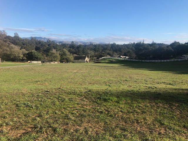 8867 Holly Hill Drive - Photo 1