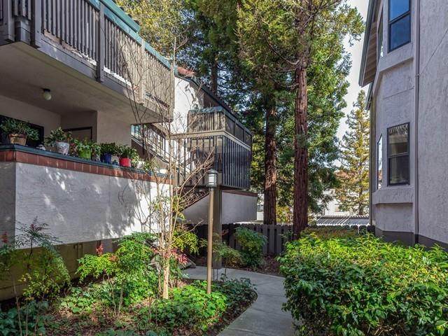 708 San Conrado Terrace - Photo 1