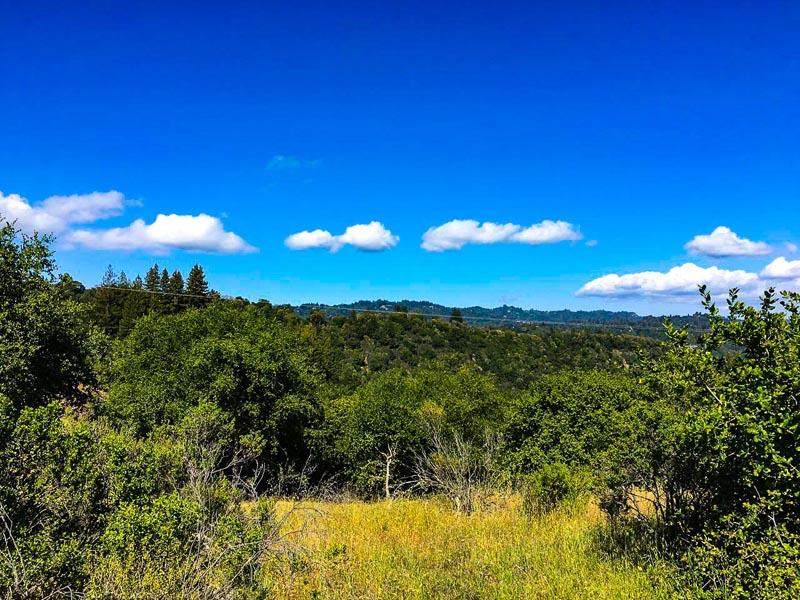 Lot 37 Hopkins Gulch - Photo 1