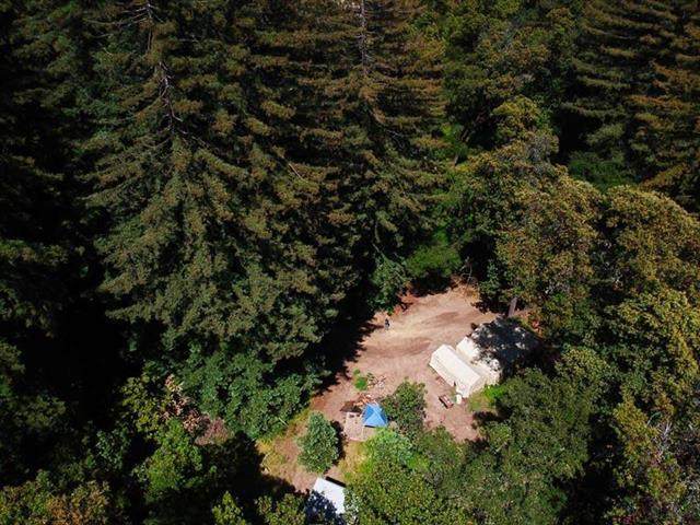 Lot 52 Ramble Road - Photo 1