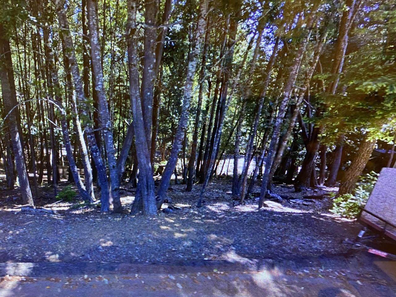 27185 Bear Drive - Photo 1