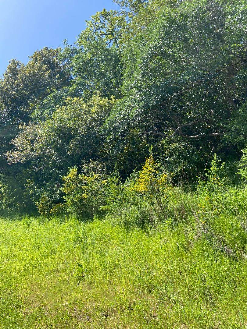 0 Foxwood/Ramona Road - Photo 1
