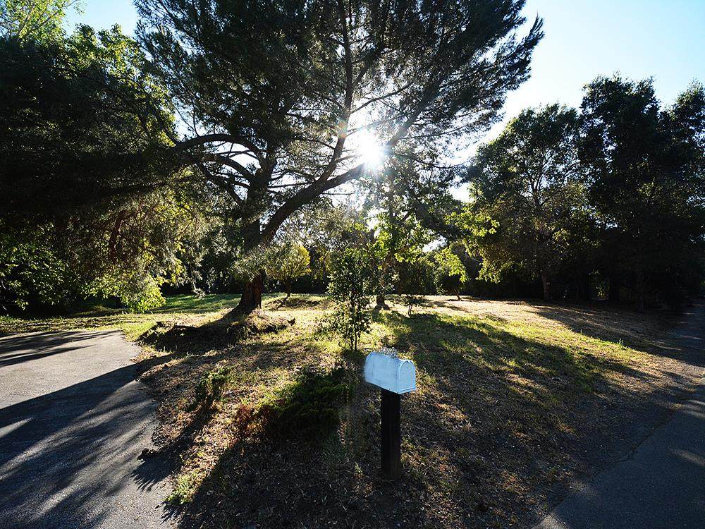 12243 Tepa Way - Photo 1