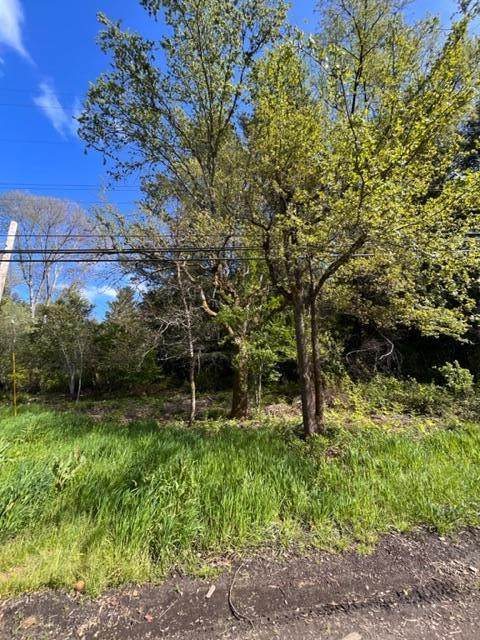 0 Kings Creek Road - Photo 1