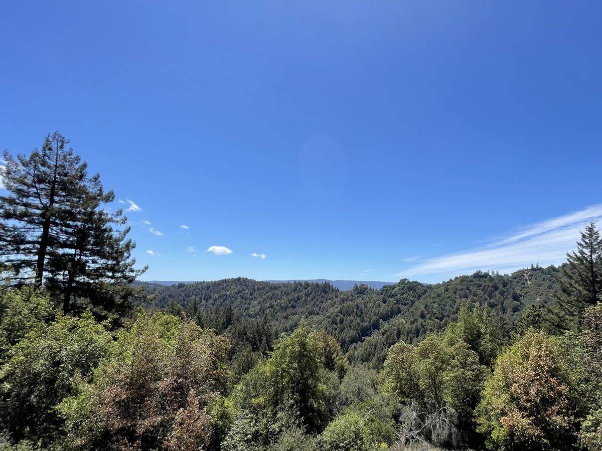 15525 Upper Ellen Road - Photo 1