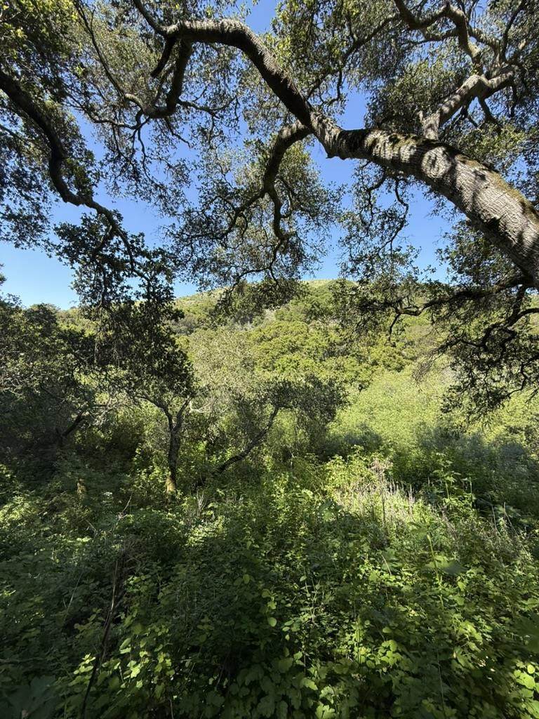 0 Bartlett Way - Photo 1