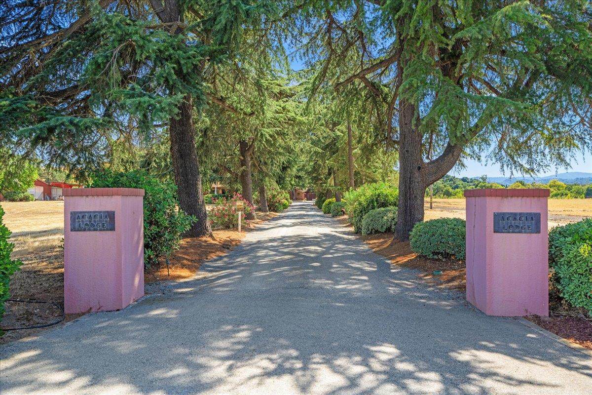 14325 Monterey Road - Photo 1
