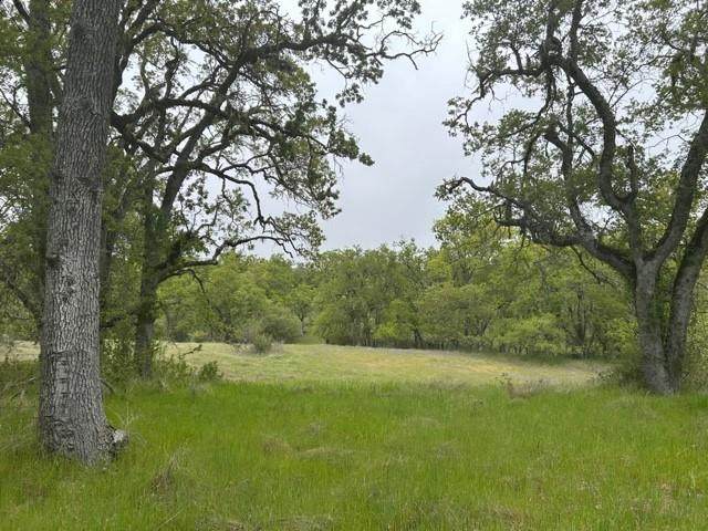 0 Lambert Flat Road - Photo 1