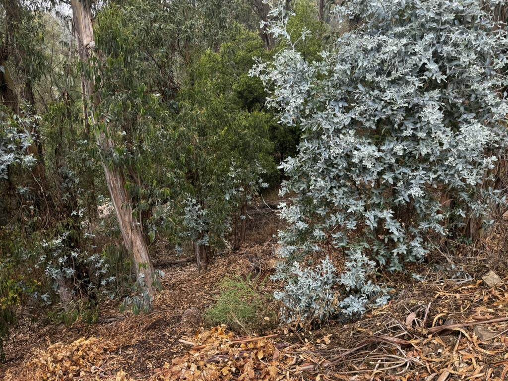 6595 Thornhill Drive - Photo 1