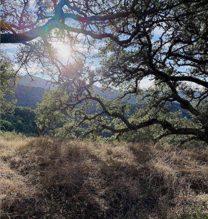 0 Via Vespero - Photo 1