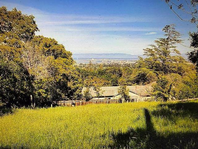 0 Palomar Drive - Photo 1