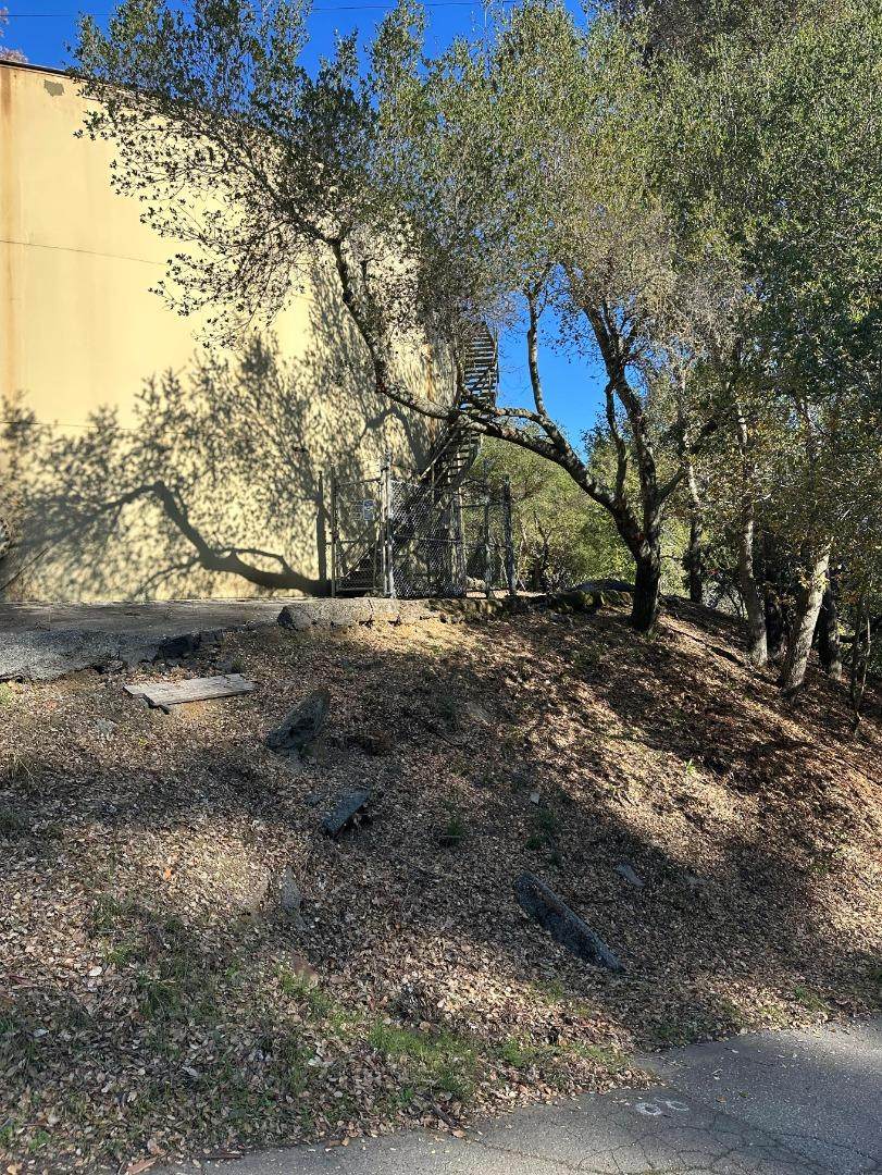 14700 Ambric Knolls Road - Photo 1