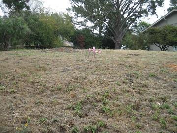 0 Montecito - Photo 1