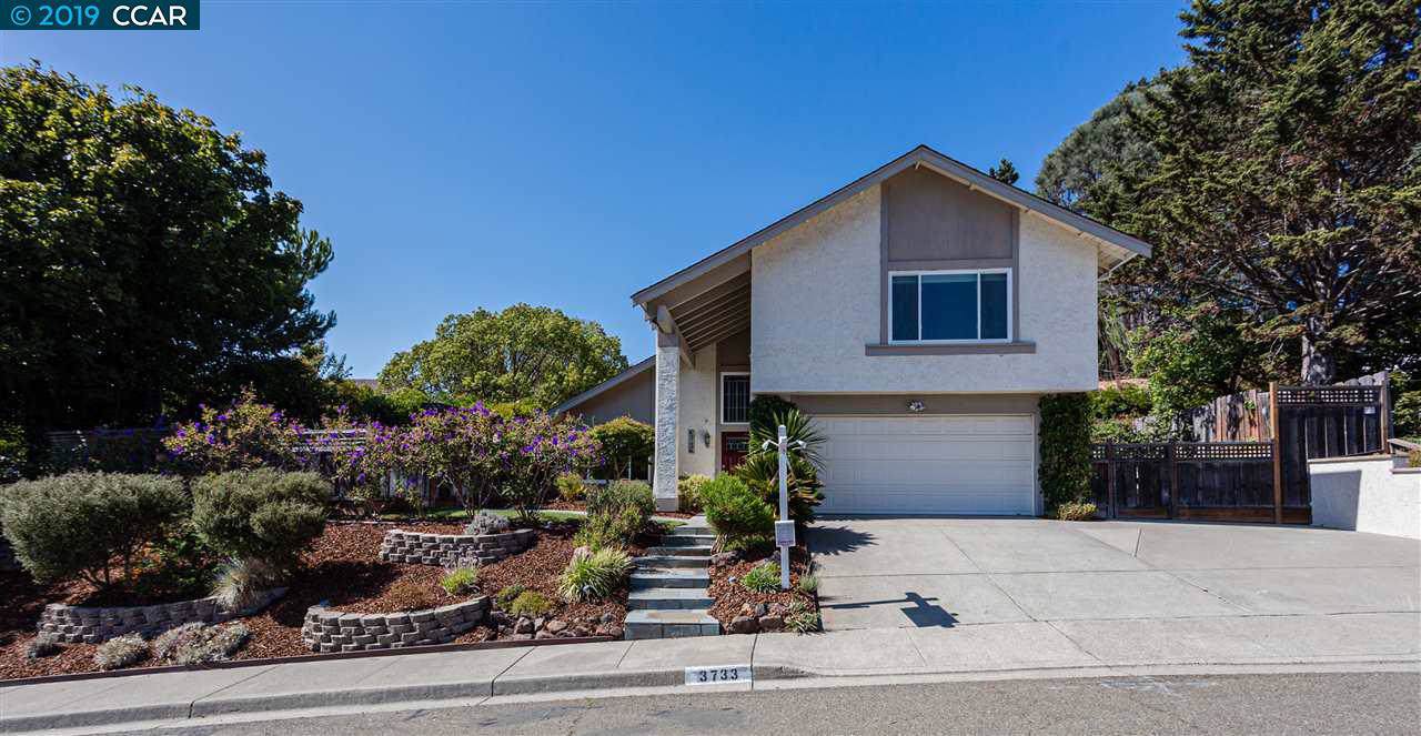 3733 Longhorn Court - Photo 1