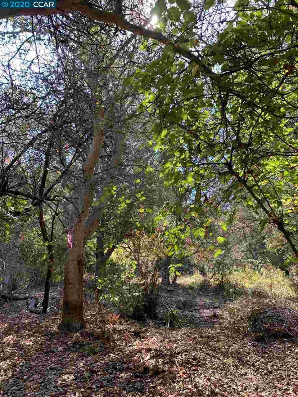 Drury Rd - Photo 1