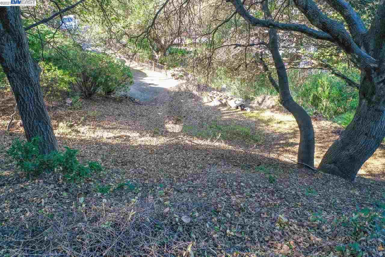 20 Lucille Way - Photo 1