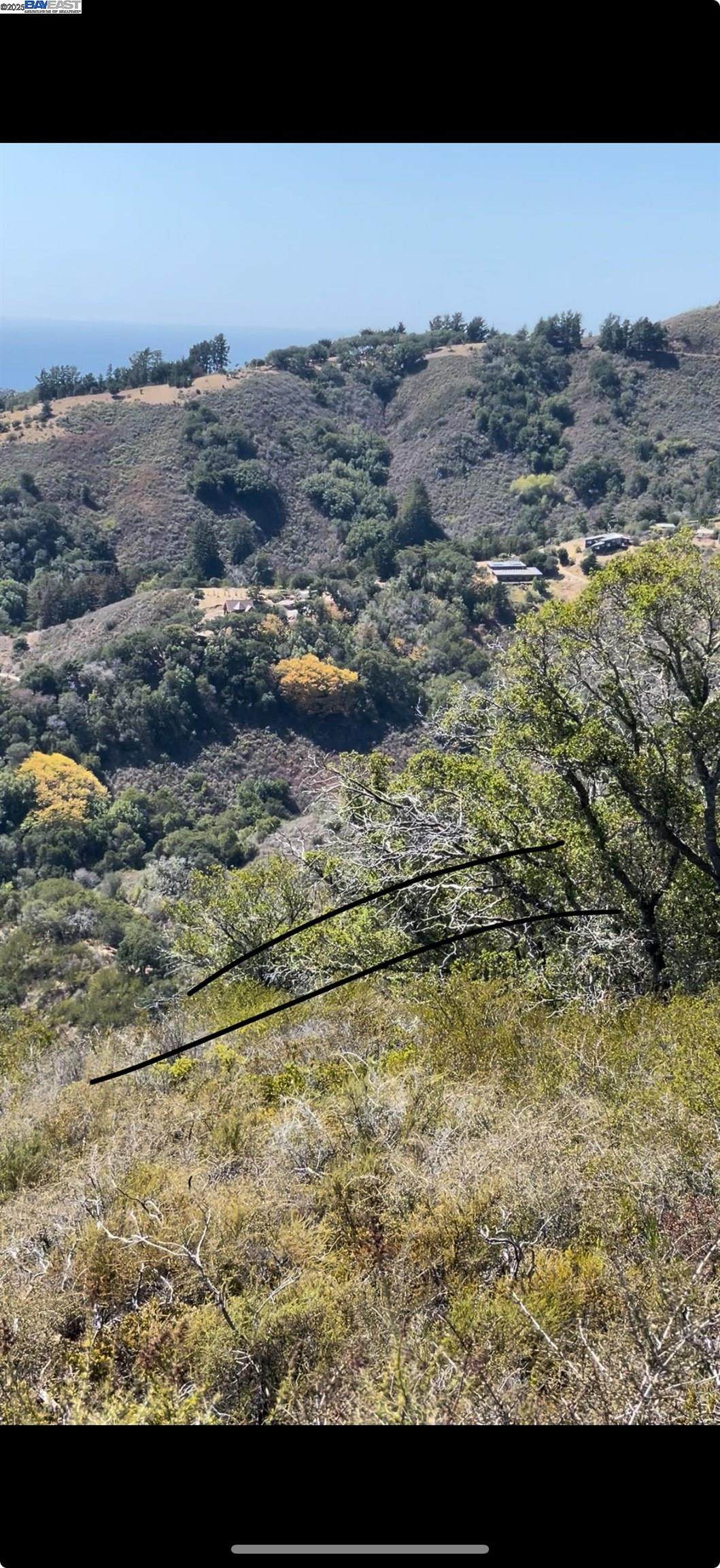 46190 Pfeiffer Ridge Rd - Photo 1