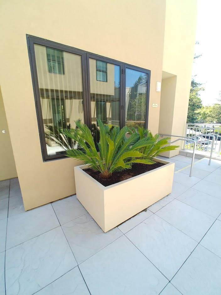 2650 Birch Street - Photo 1