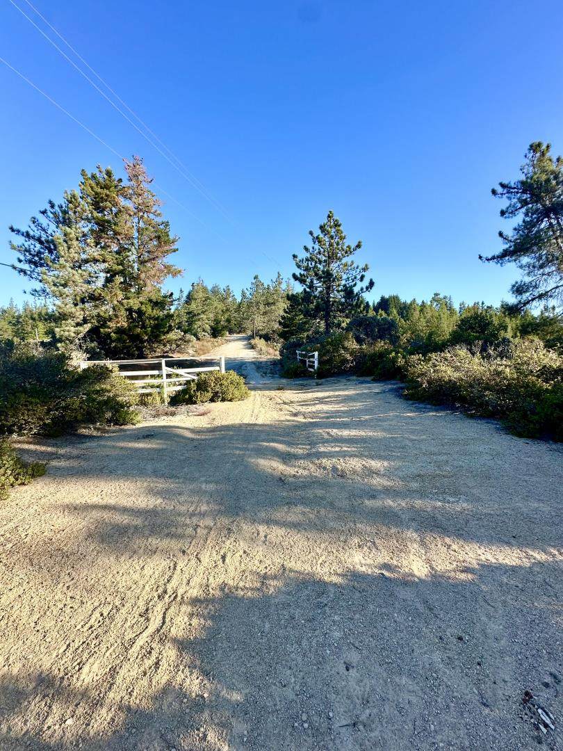 10001 West Drive - Photo 1