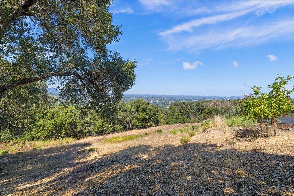 221 Twelve Oaks Road - Photo 1