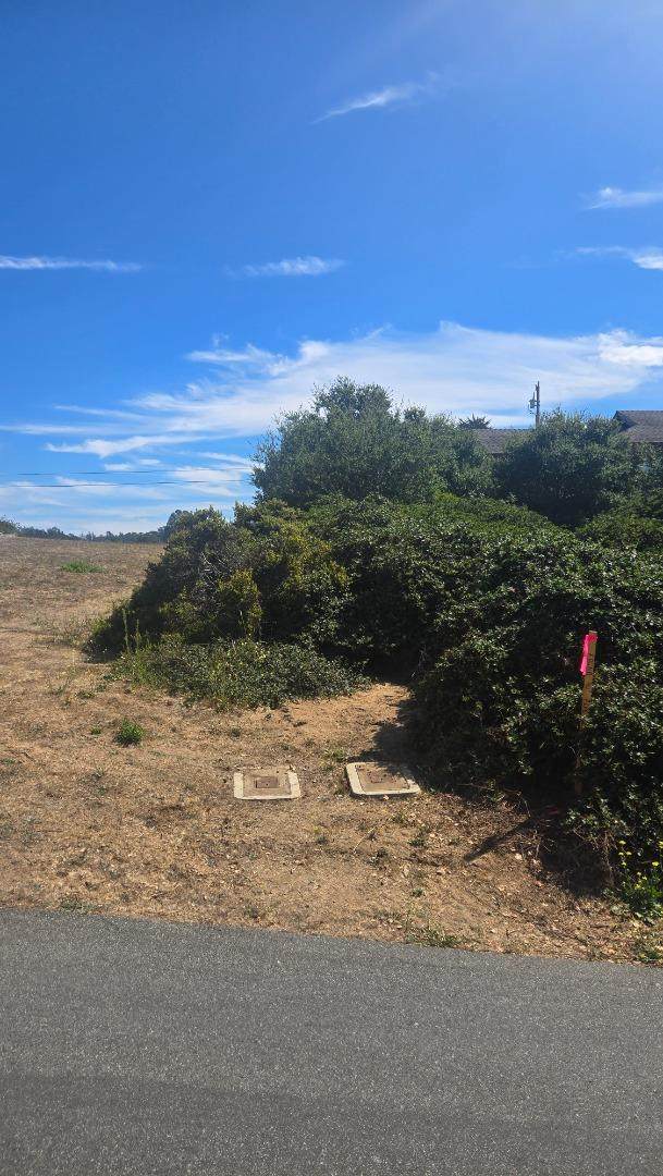 145 Lindero - Photo 1