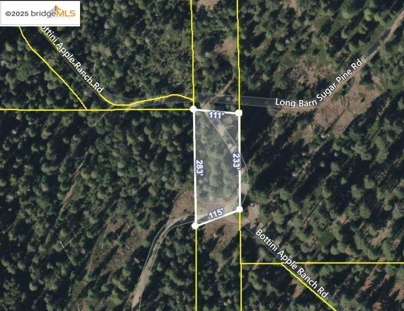 24840 Bottini Apple Ranch Rd - Photo 1