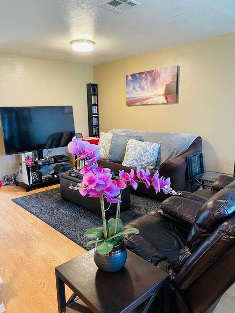 5033 Grey Feather Circle - Photo 1