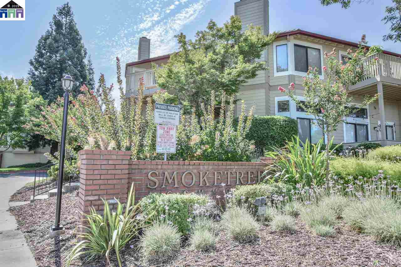 3372 Smoketree Commons Dr - Photo 1