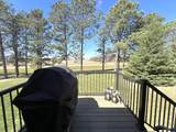 1610 Overlook Ridge Road - Photo 79