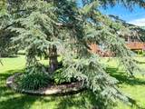 154 Trail Ridge Road - Photo 45