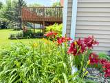 154 Trail Ridge Road - Photo 53