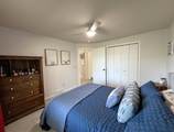 1133 Telluride Lane - Photo 52
