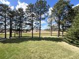 1610 Overlook Ridge Road - Photo 60