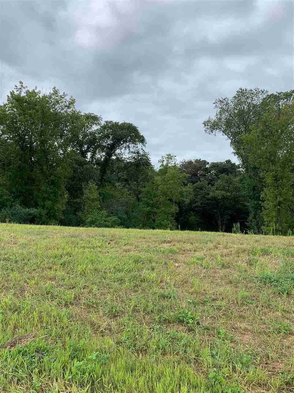 Lot 48 South Pointe Estates - Photo 1