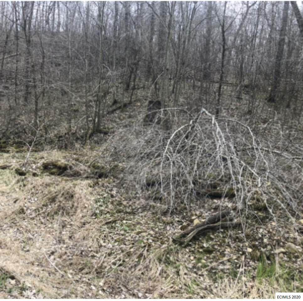 0 Cherry Valley Road - Photo 1
