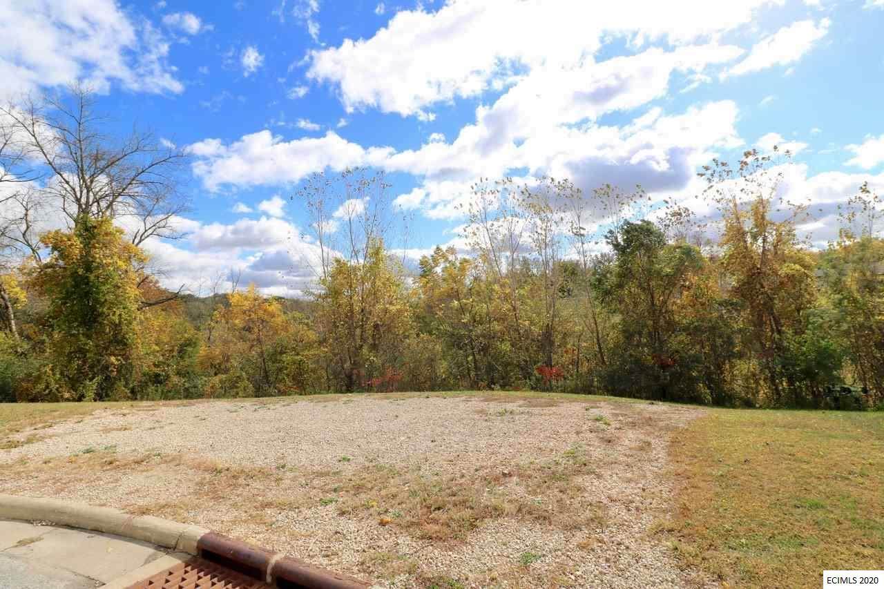 Lot 15 Bald Eagle Court - Photo 1
