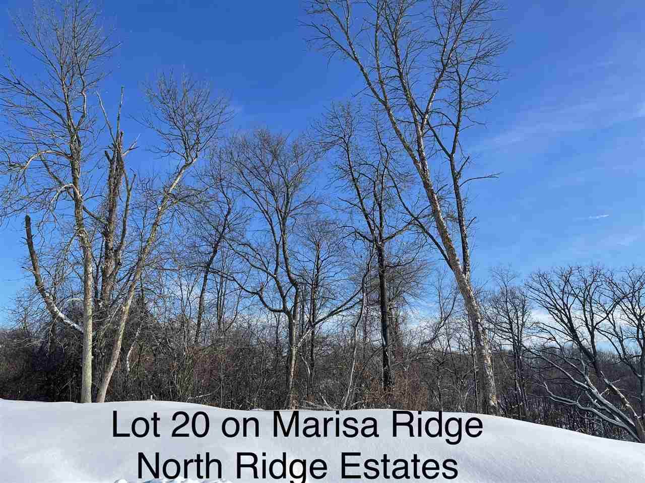 Lot 20 Marisa Ridge - Photo 1