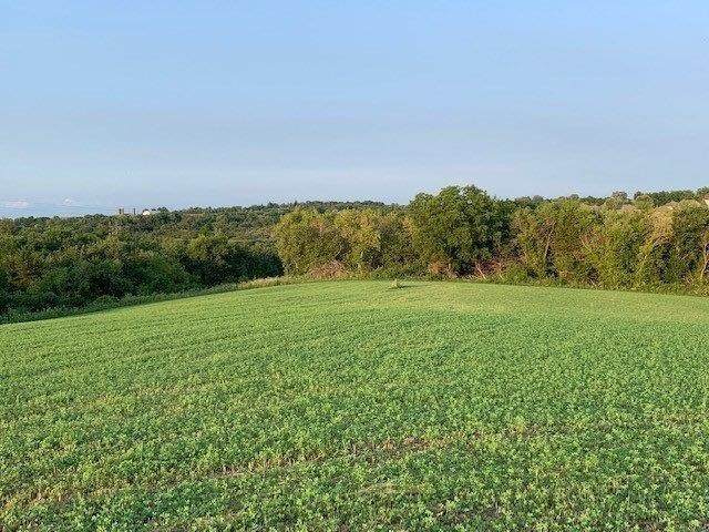 Lot 4 Mill Ridge Road - Photo 1
